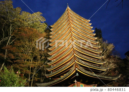 奈良 談山神社 十三重塔 紅葉ライトアップ 【奈良県】 奈良 談山神社 十三重塔 紅葉ライトアップ 【奈良県】 80446831