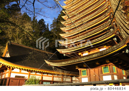 奈良　談山神社　十三重塔　紅葉ライトアップ　【奈良県】 80446834