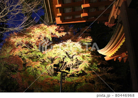 談山神社 紅葉 ライトアップ 【奈良県】 談山神社 紅葉 ライトアップ 【奈良県】 80446968