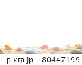 貝殻と砂浜を使った夏のイメージのデザイン素材 80447199