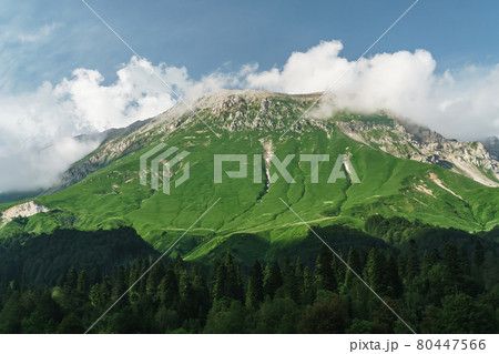 Mountain peaks in the western part of the Main Caucasian Ridge. 80447566