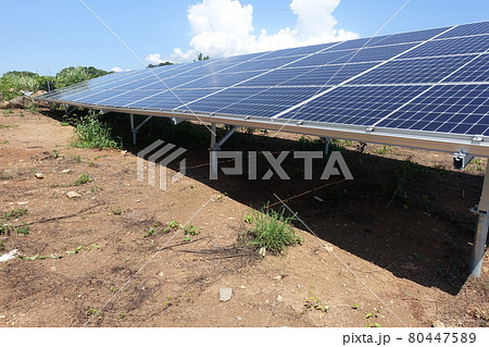 雑草が生い茂った太陽光発電所 80447589