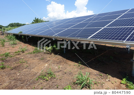 雑草が生い茂った太陽光発電所 80447590