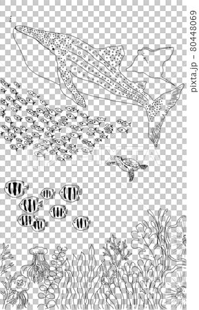 Schools of fish swimming with Jinbei Zaime Schools of fish swimming with Jinbei Zaime 80448069