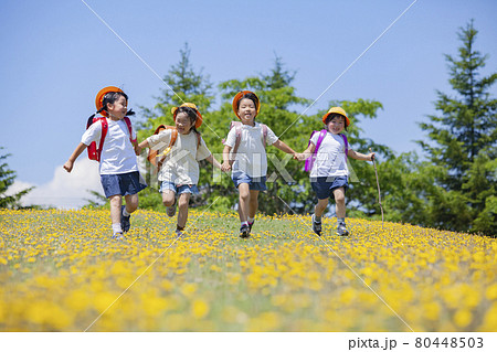 花畑を歩くランドセルを背負った小学生 80448503