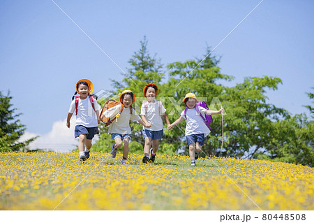 花畑を歩くランドセルを背負った小学生 80448508