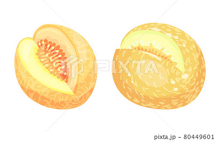 Melon Fruit with Juicy Flesh and Seeds Inside Vector Set 80449601
