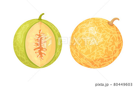 Melon Fruit with Juicy Flesh and Seeds Inside Vector Set 80449603