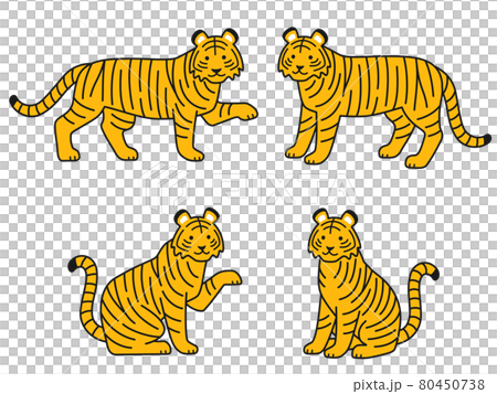 老虎插圖集 老虎插圖集 80450738