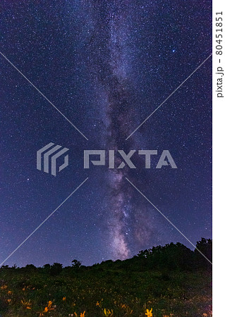 （群馬県）野反湖　湖畔のキスゲと立ち昇る天の川 80451851