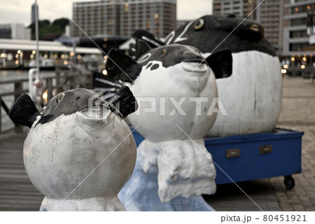 山口県下関市カモンワーフのフグのモニュメント 山口県下関市カモンワーフのフグのモニュメント 80451921