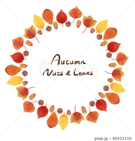 手描き ナチュラルかわいい 秋の葉っぱとどんぐりのフレームのイラスト素材