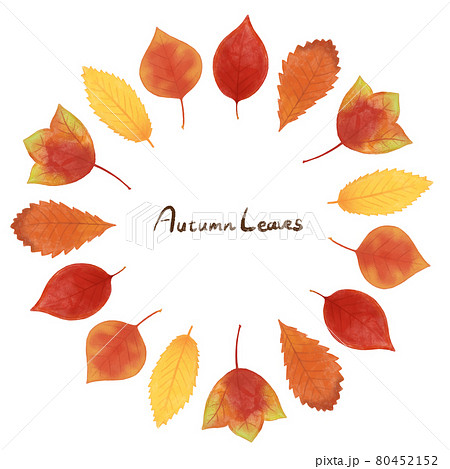 手描き ナチュラルかわいい 秋の紅葉のフレームのイラスト素材