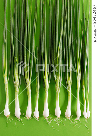 fresh green onions on green background fresh green onions on green background 80452467