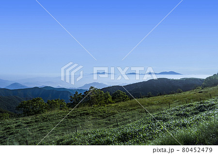 夏の美ヶ原高原　早朝の王ヶ頭より北東方面を望む 80452479