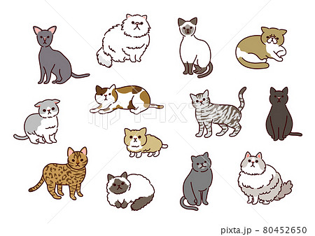 シンプルでかわいい 13種類の猫たちのイラストのイラスト素材