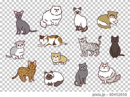 シンプルでかわいい！13種類の猫たちのイラスト 80452650