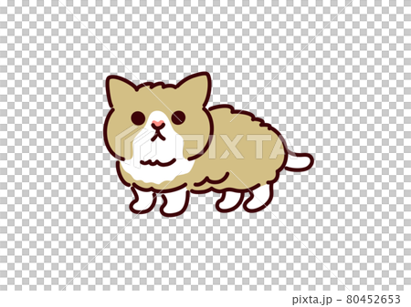 シンプルかわいい猫 マンチカンの子猫イラストのイラスト素材