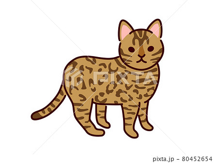 シンプルかわいい猫 ベンガルのイラストのイラスト素材
