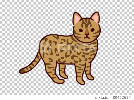 シンプルかわいい猫・ベンガルのイラストのイラスト素材 [80452654