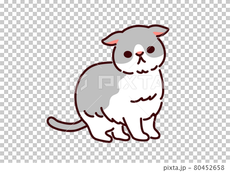 一隻簡單可愛的貓蘇格蘭折耳貓的插圖 80452658