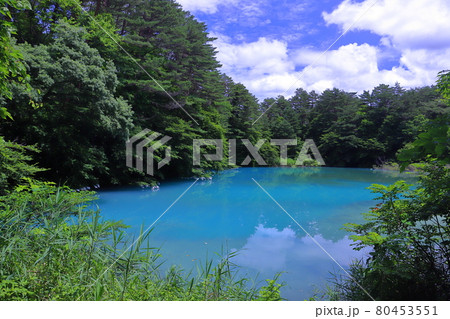 福島県耶麻郡北塩原村　五色沼湖沼群青沼の青い水 80453551