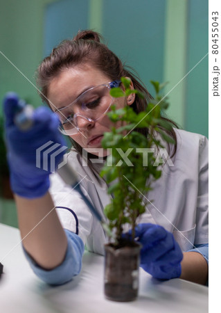 Close up of biologist researcher using micropipette putting genetic solution in test tube 80455043
