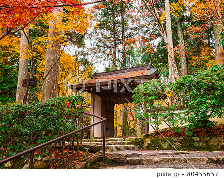 秋の京都 三千院 西方門 秋の京都 三千院 西方門 80455657