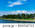 河川敷の松並木と空模様 80458733