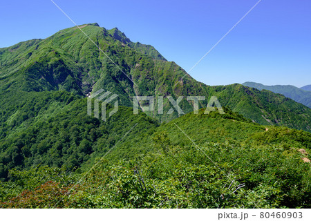 夏空と谷川岳双耳峰 夏空と谷川岳双耳峰 80460903