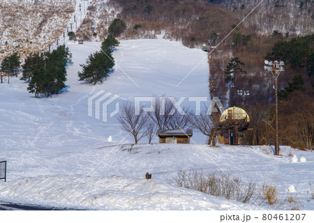 冬の三瓶東の原（2021年1月） 80461207