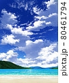 【縦長用】青空と雲10_山01_海07 【縦長用】青空と雲10_山01_海07 80461794