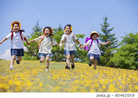 花畑を歩くランドセルを背負った小学生 80462059