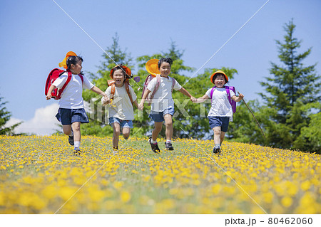 花畑を歩くランドセルを背負った小学生 80462060