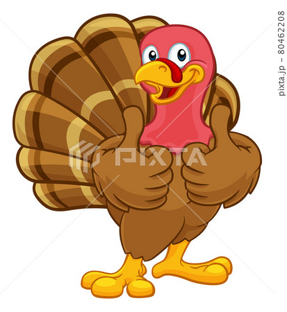 Turkey Thanksgiving or Christmas Cartoon Character 80462208
