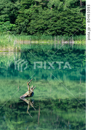 五色沼　湖沼群　弁天沼　福島県北塩原村 80463093