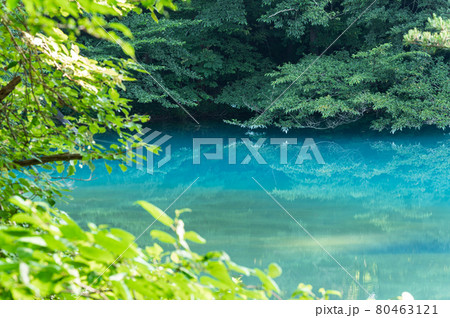 五色沼　湖沼群　青沼　福島県北塩原村 80463121