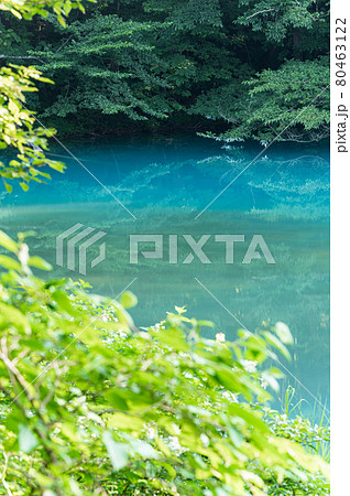 五色沼　湖沼群　青沼　福島県北塩原村 80463122
