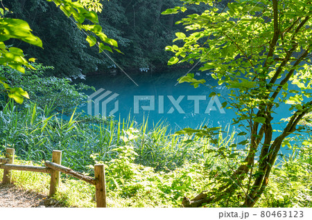 五色沼　湖沼群　青沼　福島県北塩原村 80463123