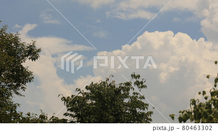 夏の雲 夏の雲 80463302