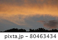 山中の夕暮れ 80463434