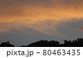 山中の夕暮れ 80463435
