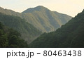 山中の夕暮れ 80463438