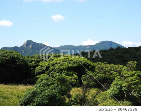 入道ヶ岳山頂から見える鎌ヶ岳と御在所岳 80463539