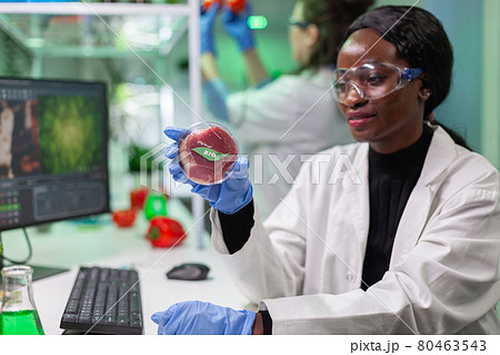 Biologist researcher looking at plant based beef substitute for vegetarien people 80463543