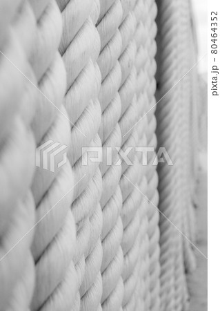 Strong white ropes weigh upright on white background 80464352