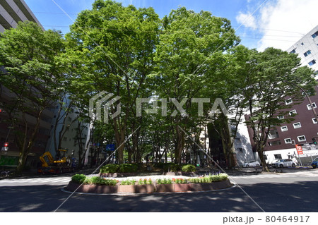 宮城　仙台市　定禅寺通り　メディアテーク　周辺の風景 80464917
