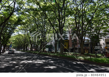 宮城　仙台市　定禅寺通り　メディアテーク　周辺の風景 80464951