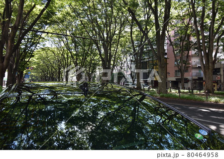 宮城　仙台市　定禅寺通り　メディアテーク　周辺の風景 80464958