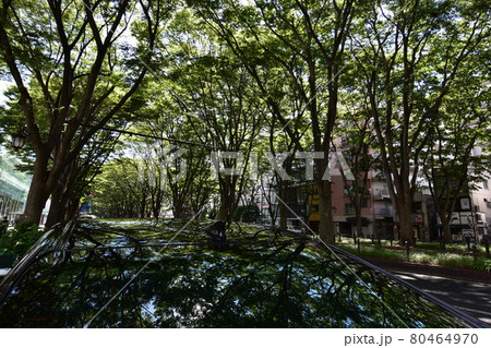 宮城　仙台市　定禅寺通り　メディアテーク　周辺の風景 80464970